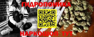 мяу мяу мука Будённовск