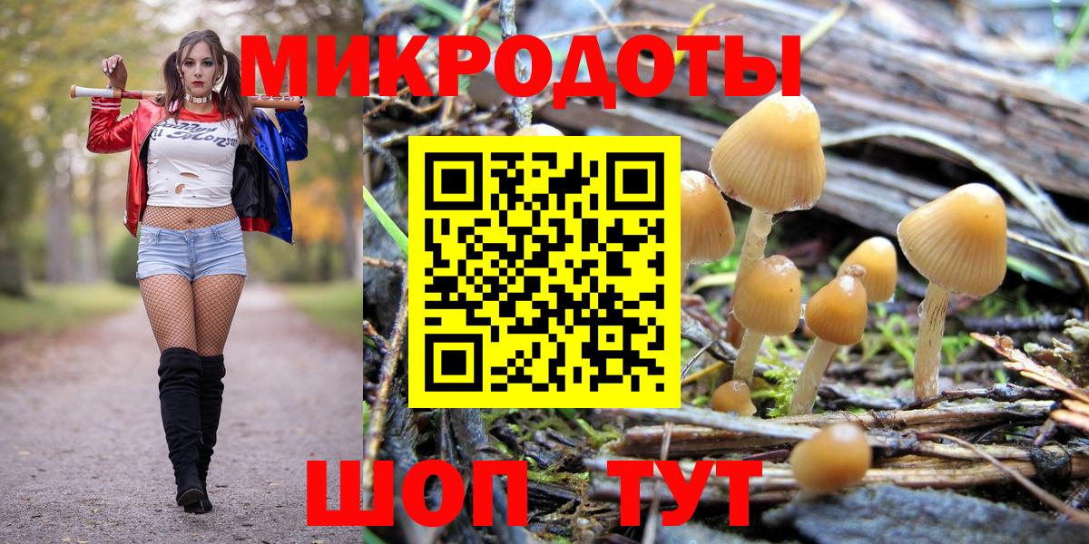 Галлюциногенные грибы GOLDEN TEACHER Каменка